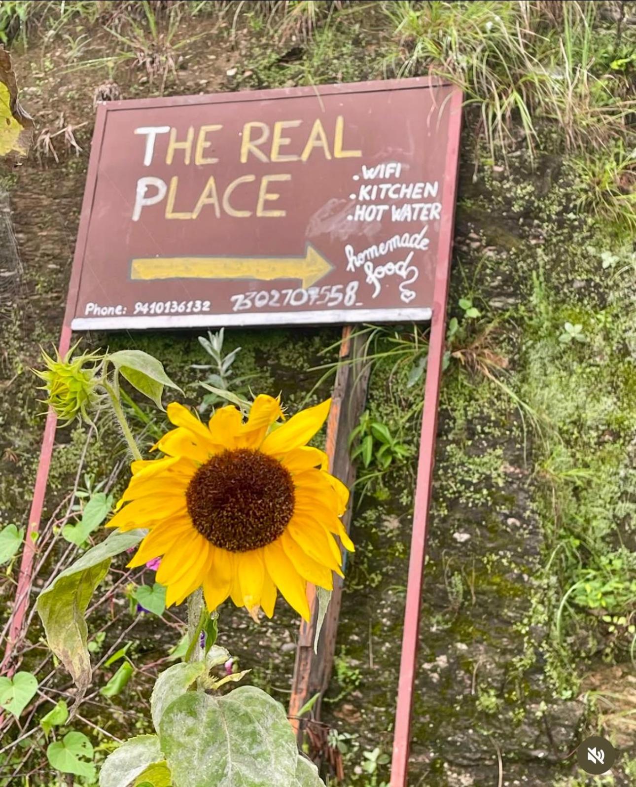 The Real Place Алмора Экстерьер фото